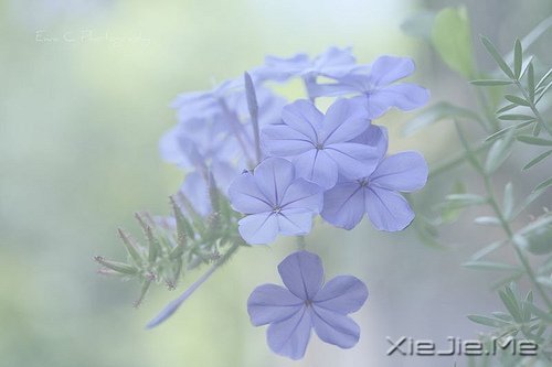 愿你住在我的心里，也在我的生活里
